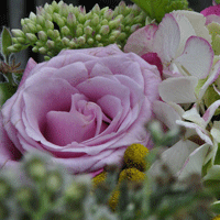 演出でこだわるべきポイント